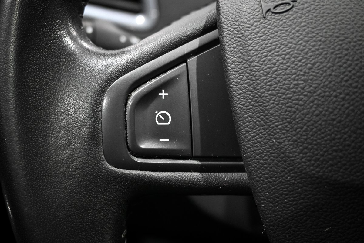 Foto Renault Scenic 21