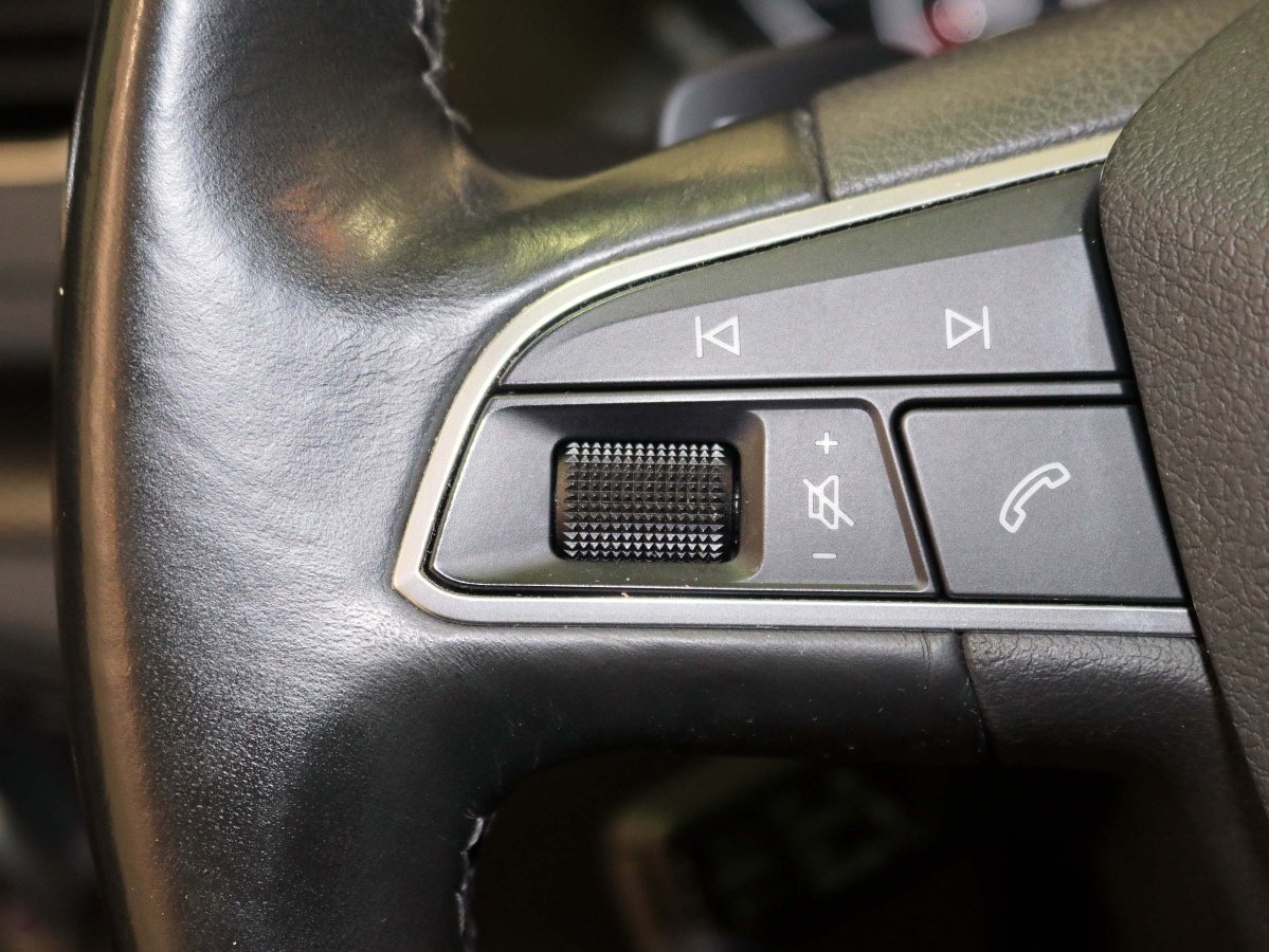 Foto Seat Alhambra 39