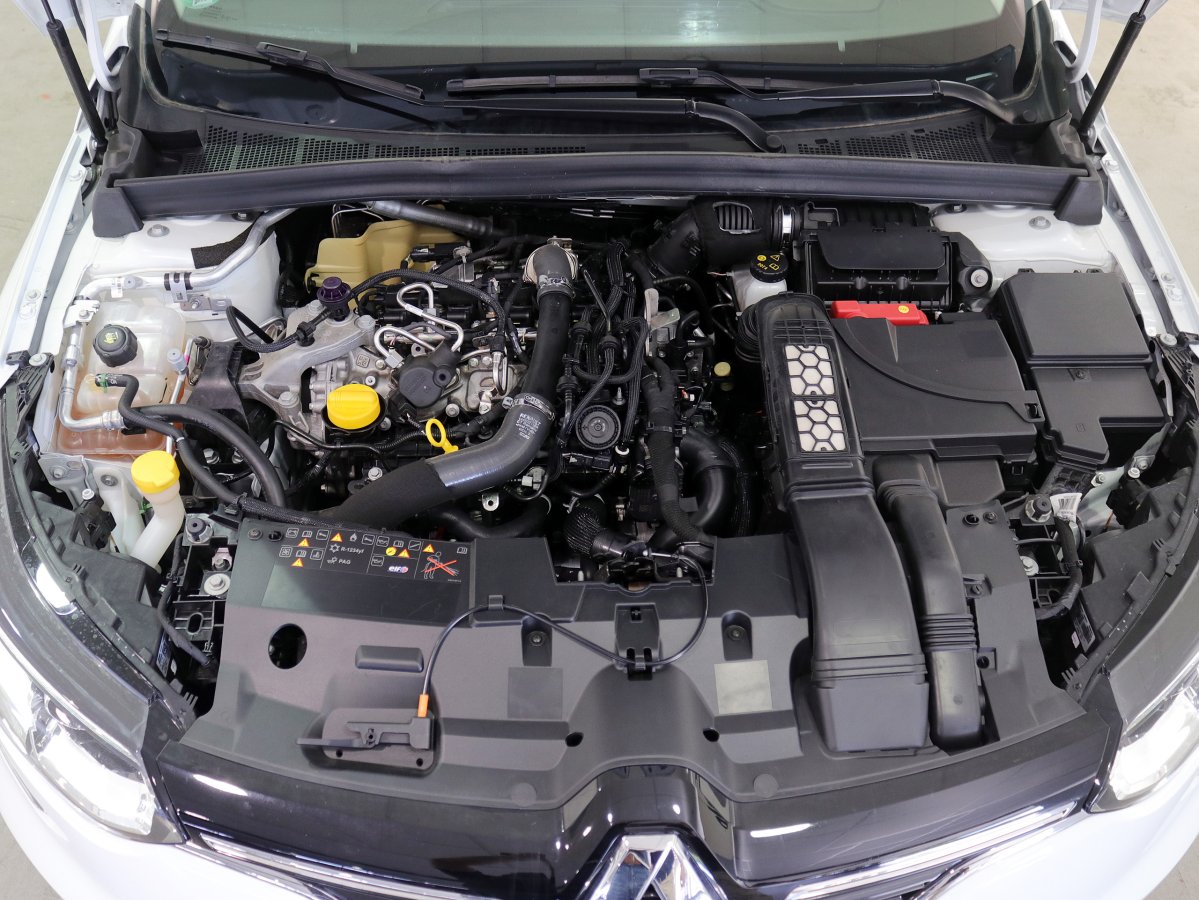 Foto Renault Megane 19