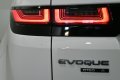 Thumbnail 10 del Land Rover Evoque 2.0D MHEV R-Dynamic S AWD Aut. 150